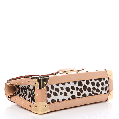 Louis Vuitton Monogram Multicolor Dalmatian Sac Rabat 3 of 13