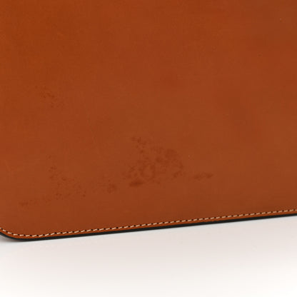 Celine Shiny Calfskin Medium Triomphe Tan 11 of 11
