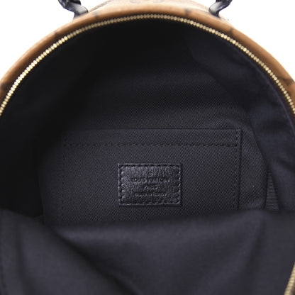Louis Vuitton Reverse Monogram Palm Springs Backpack Mini 5 of 9