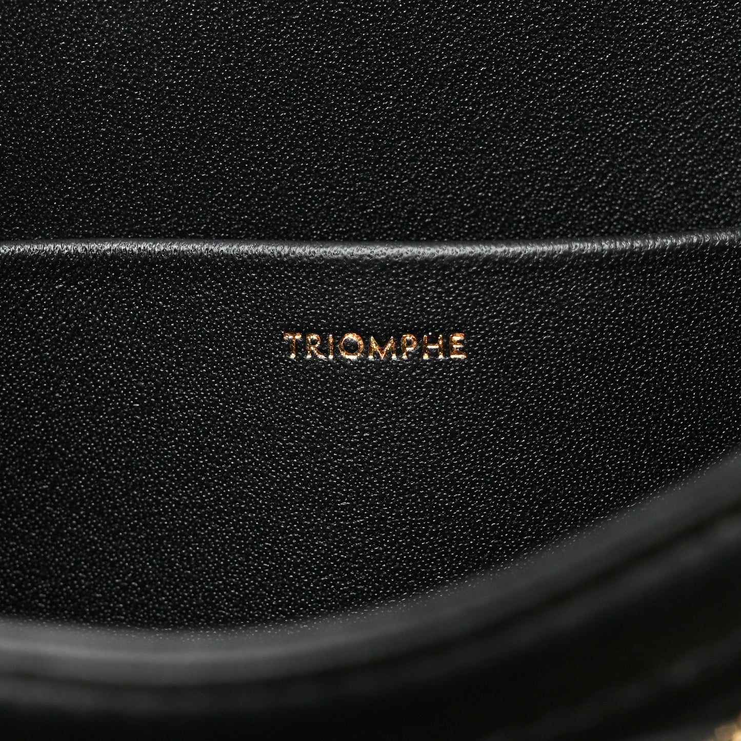 Shiny Calfskin Medium Triomphe Black