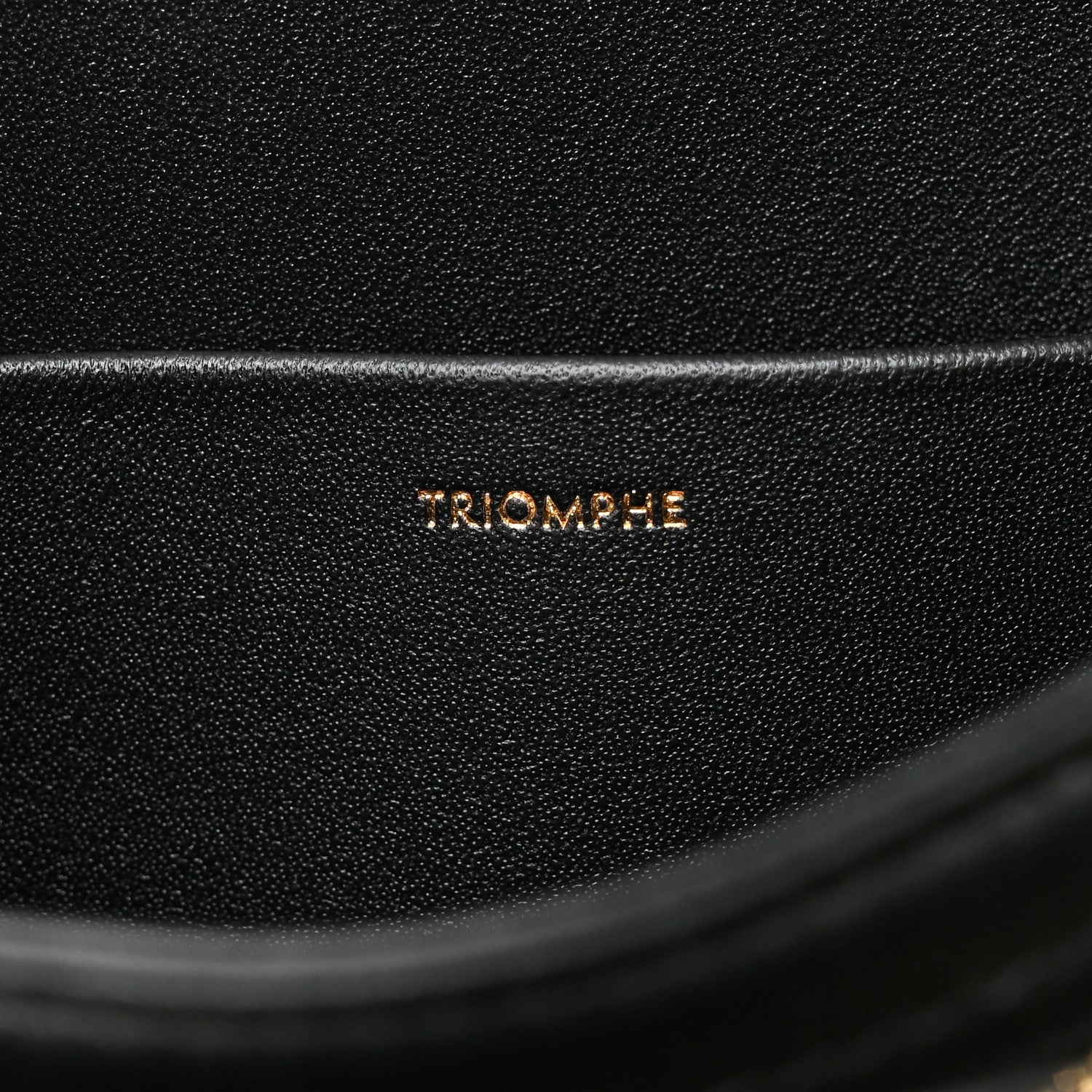Celine Shiny Calfskin Medium Triomphe Black 7 of 11