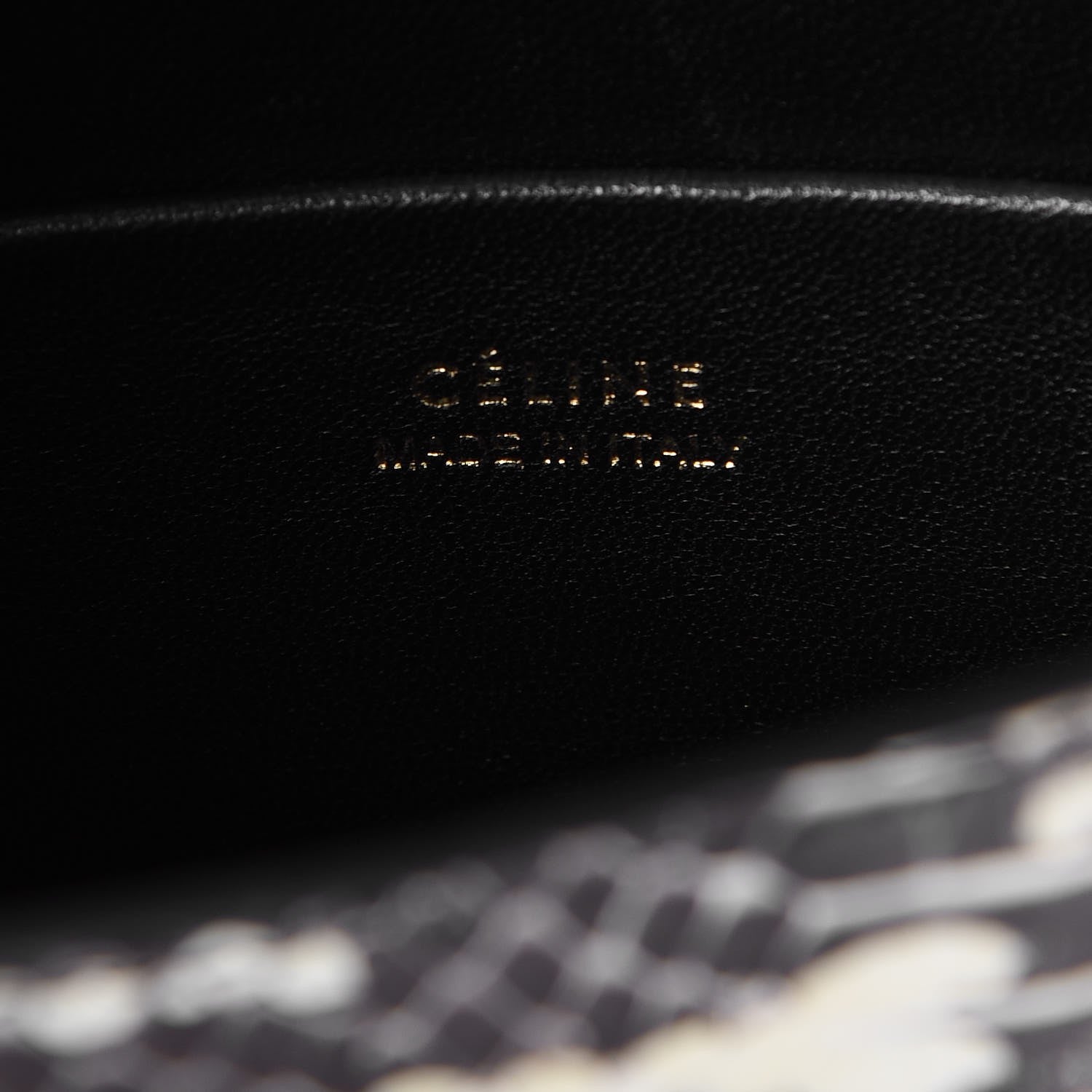 Celine Watersnake Small Trotteur Black White 6 of 8