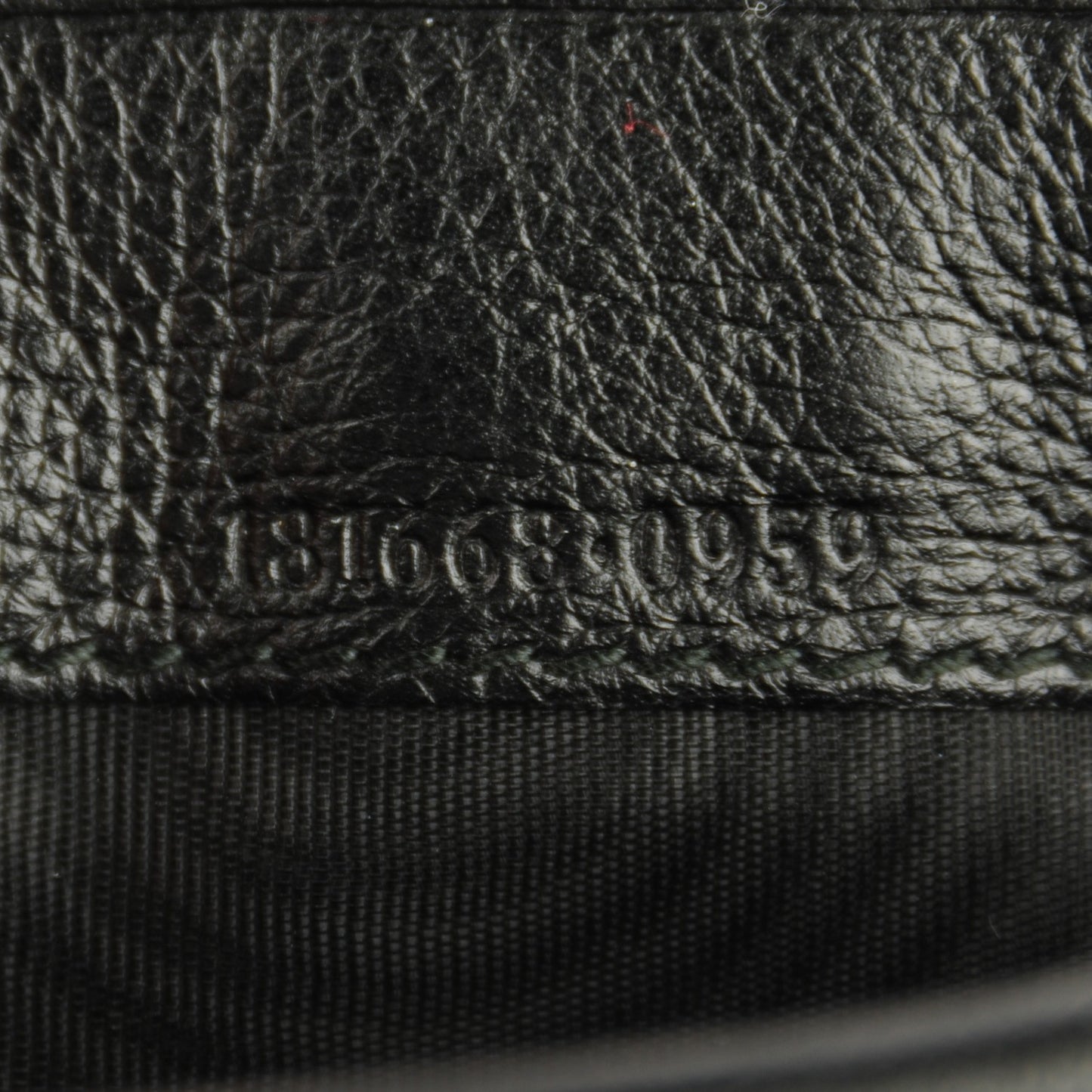Guccissima Ladies Web Long Wallet Black