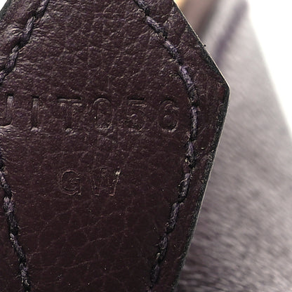 Hermes Evercolor Verso 1923 Bolide 25 Rouge Sellier Framboise 7 of 11