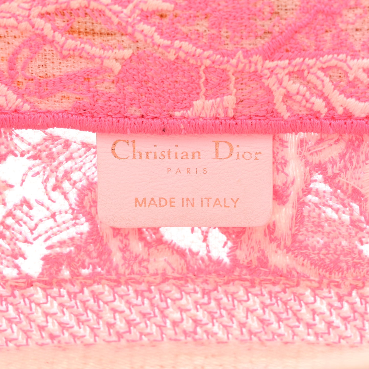 Transparent Canvas Embroidered Small Toile De Jouy Reverse Book Tote Fluorescent Pink