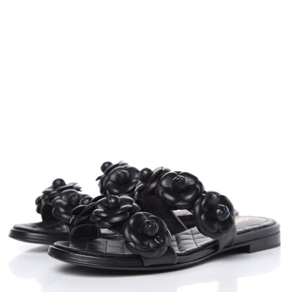 Chanel Lambskin Camellia Sandals 35.5 Black 3 of 11