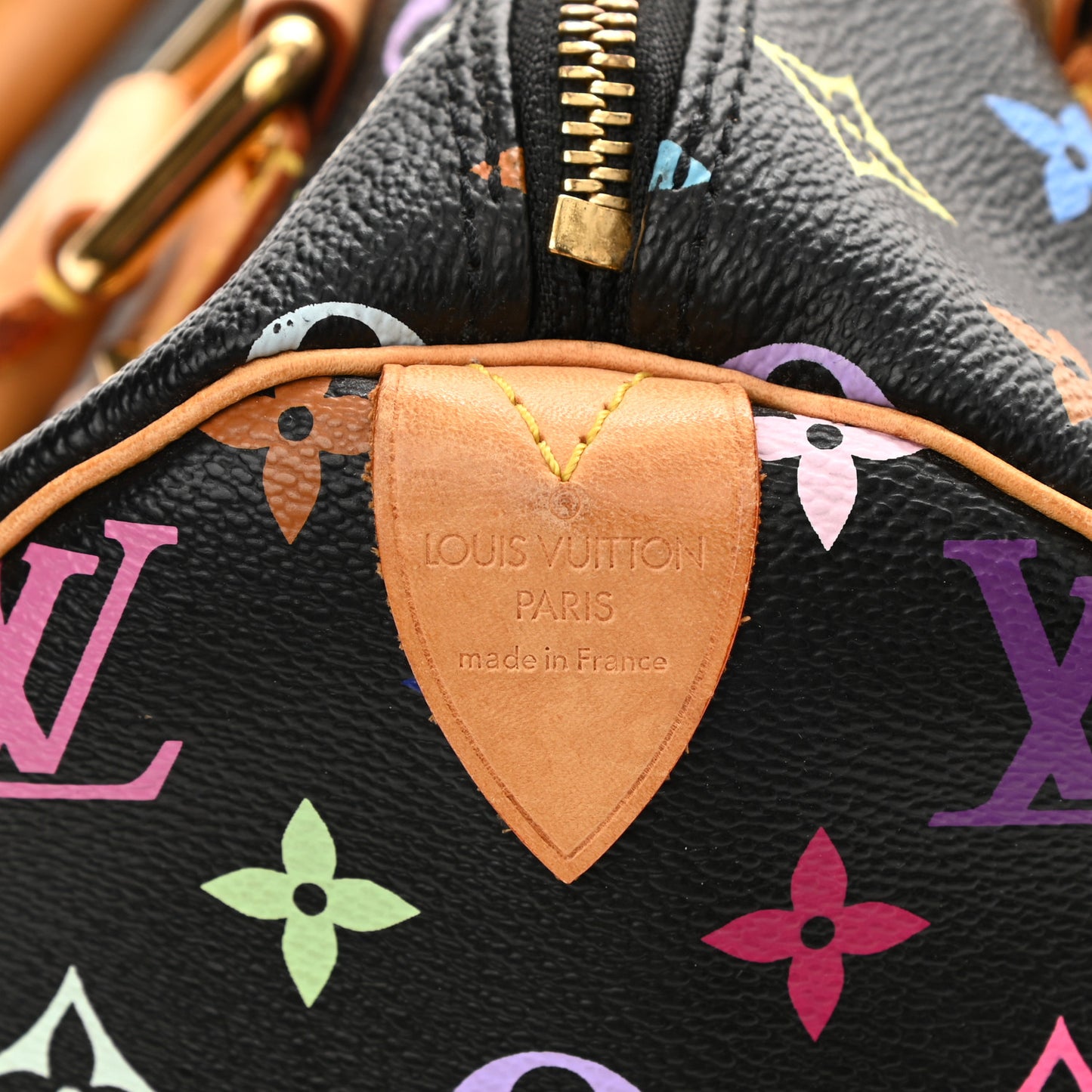 Monogram Multicolor Speedy 30 Black