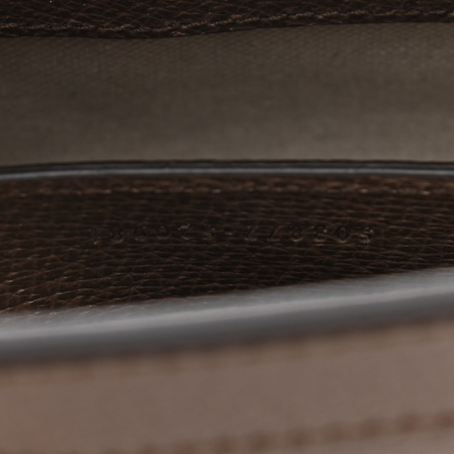 Monogram Jumbo GG Textured Dollar Calfskin Web Small Ophidia Chain Shoulder Bag Camel Ebony New Acero