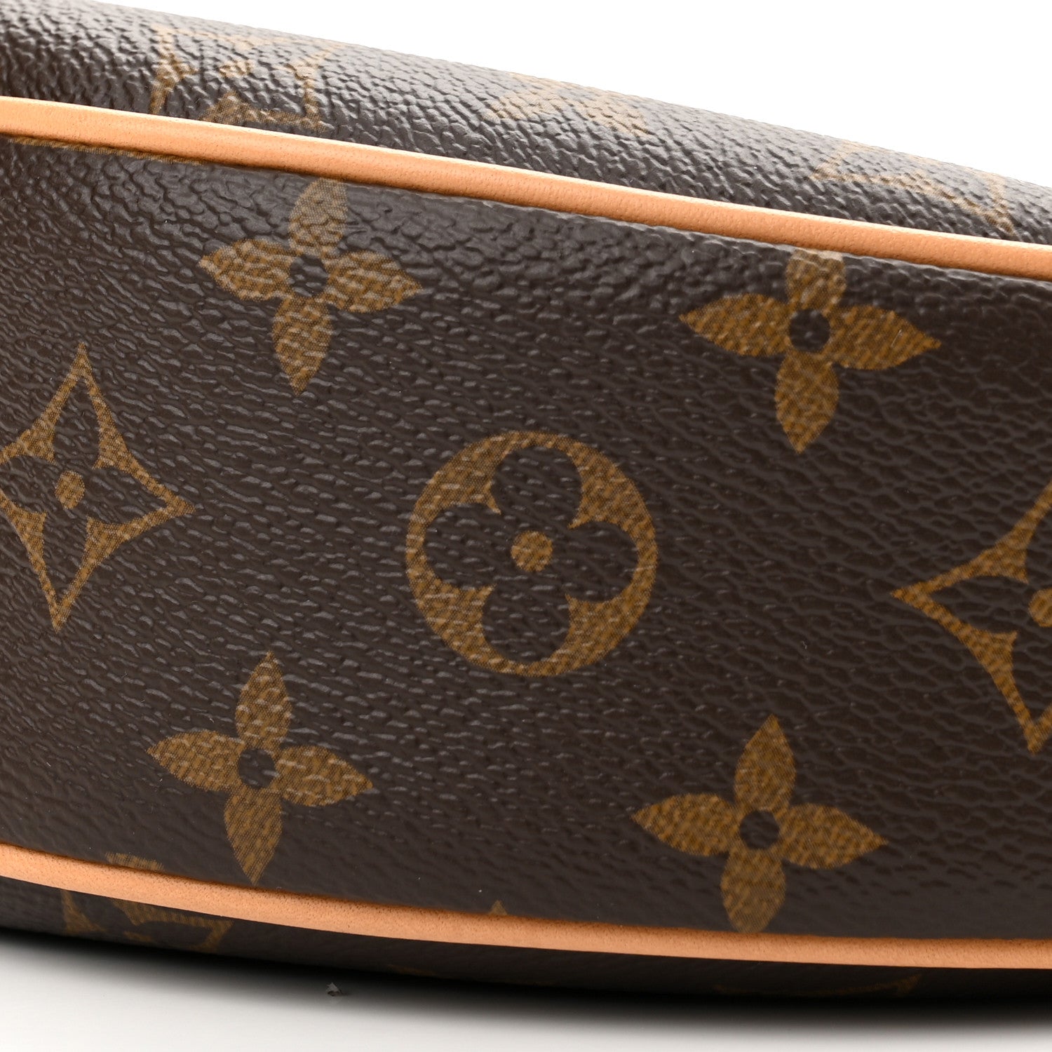 Louis Vuitton Monogram Loop 9 of 10