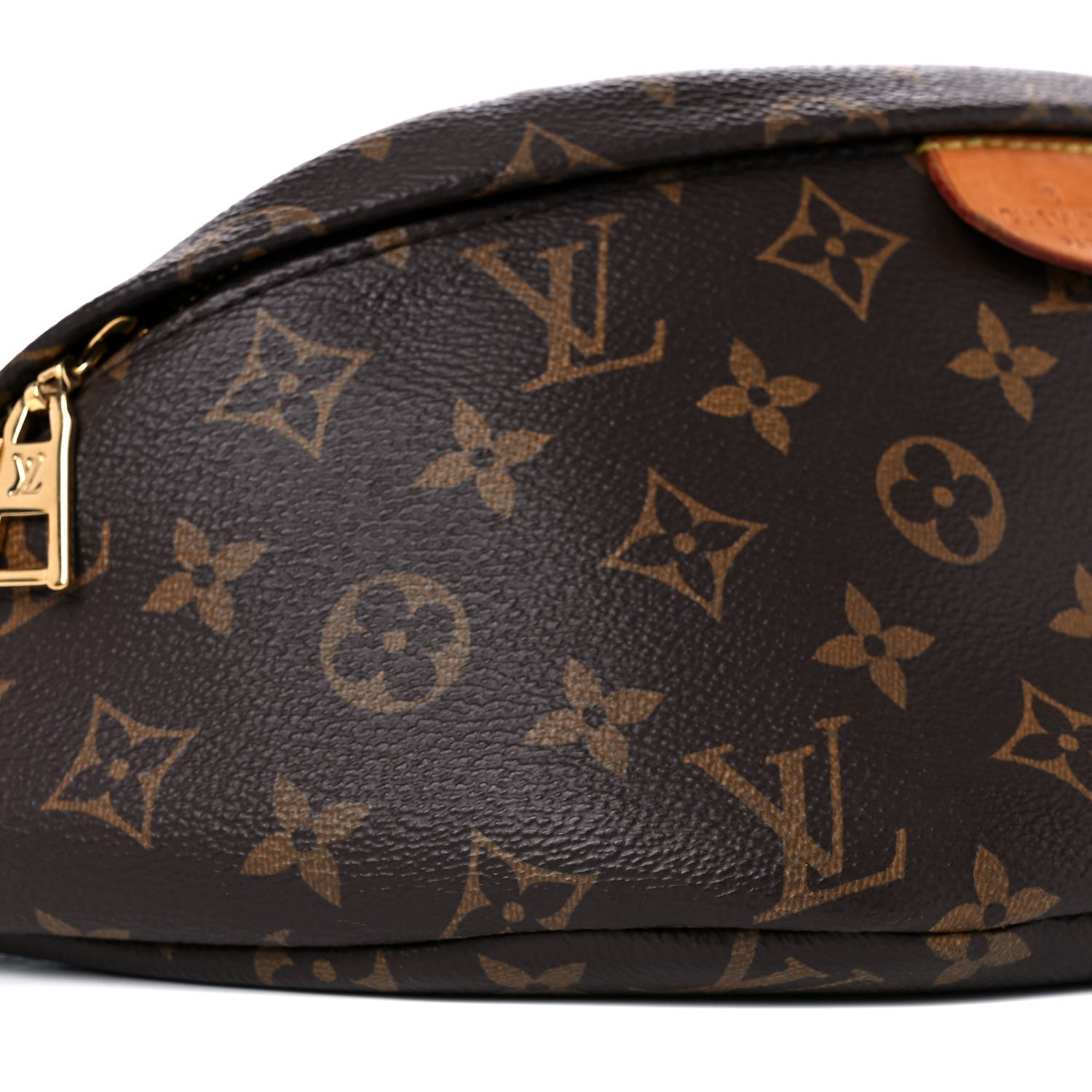 Louis Vuitton Monogram Bumbag 8 of 17