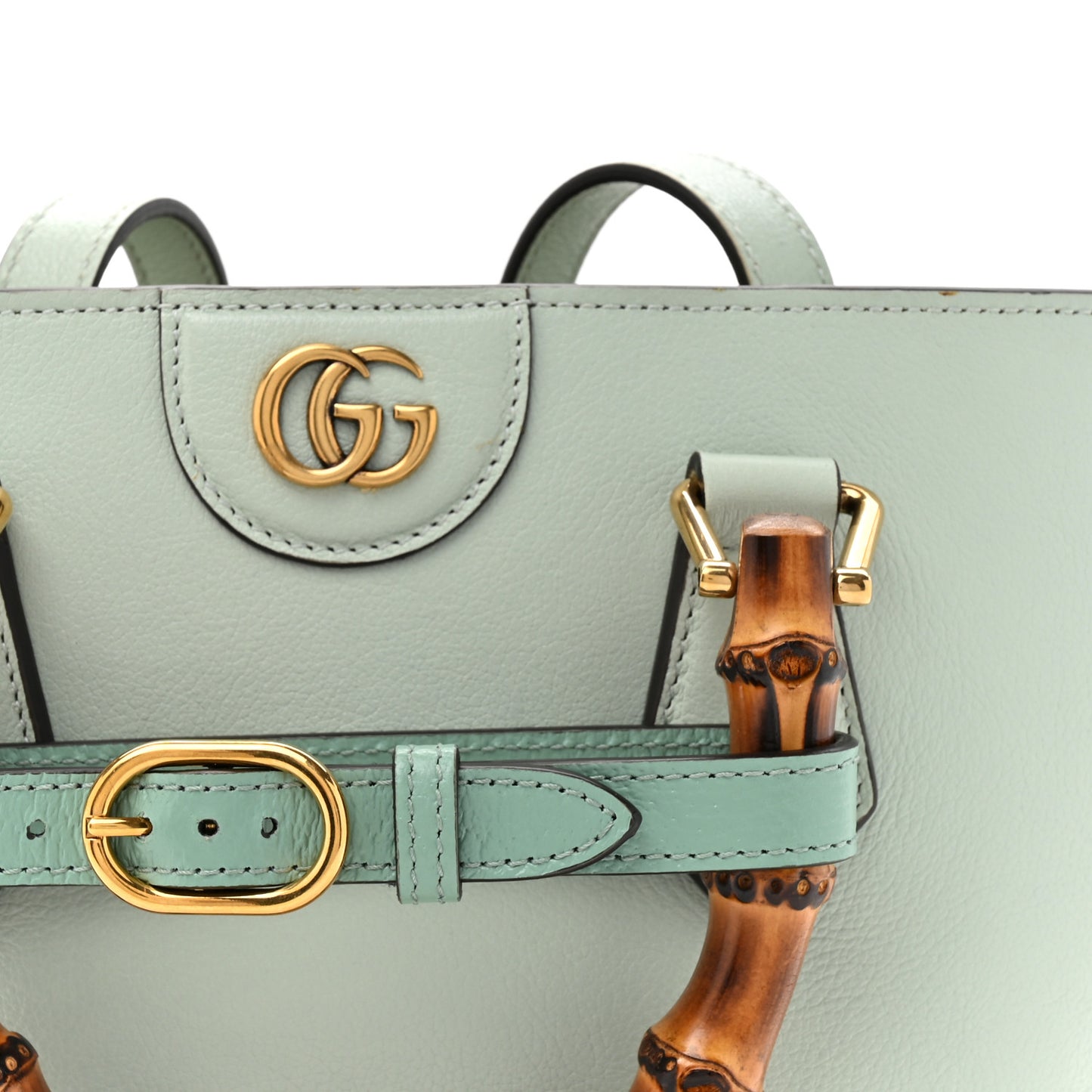 Softy Wonka Textured Dollar Calfskin Mini Diana Tote Salvy Green