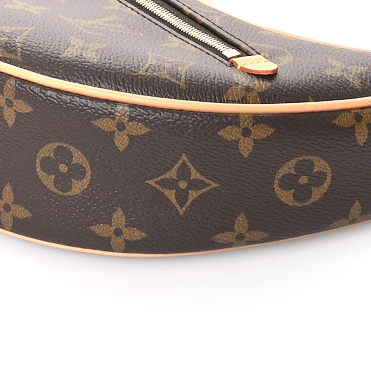 Louis Vuitton Monogram Loop 9 of 10
