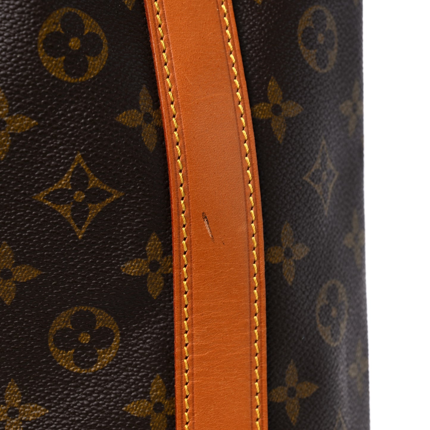 Monogram Randonnee GM Backpack