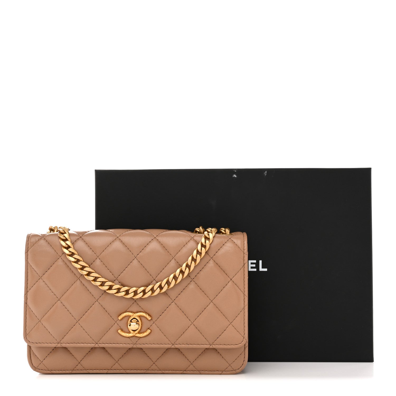 Chanel Calfskin Quilted Perfect Fit Wallet On Chain WOC Beige 16 of 16