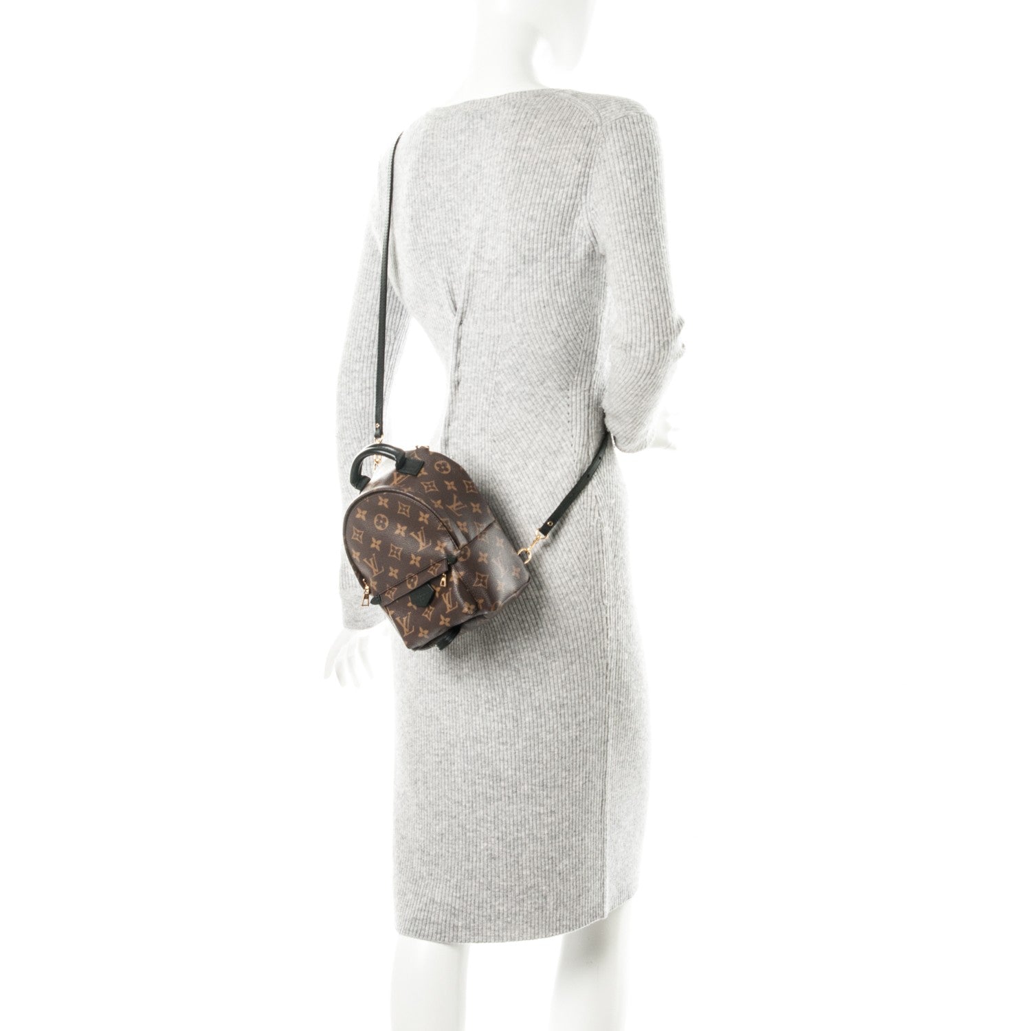 Louis Vuitton Monogram Palm Springs Backpack Mini 2 of 7
