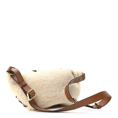 Louis Vuitton Monogram Teddy Bumbag 2 of 9