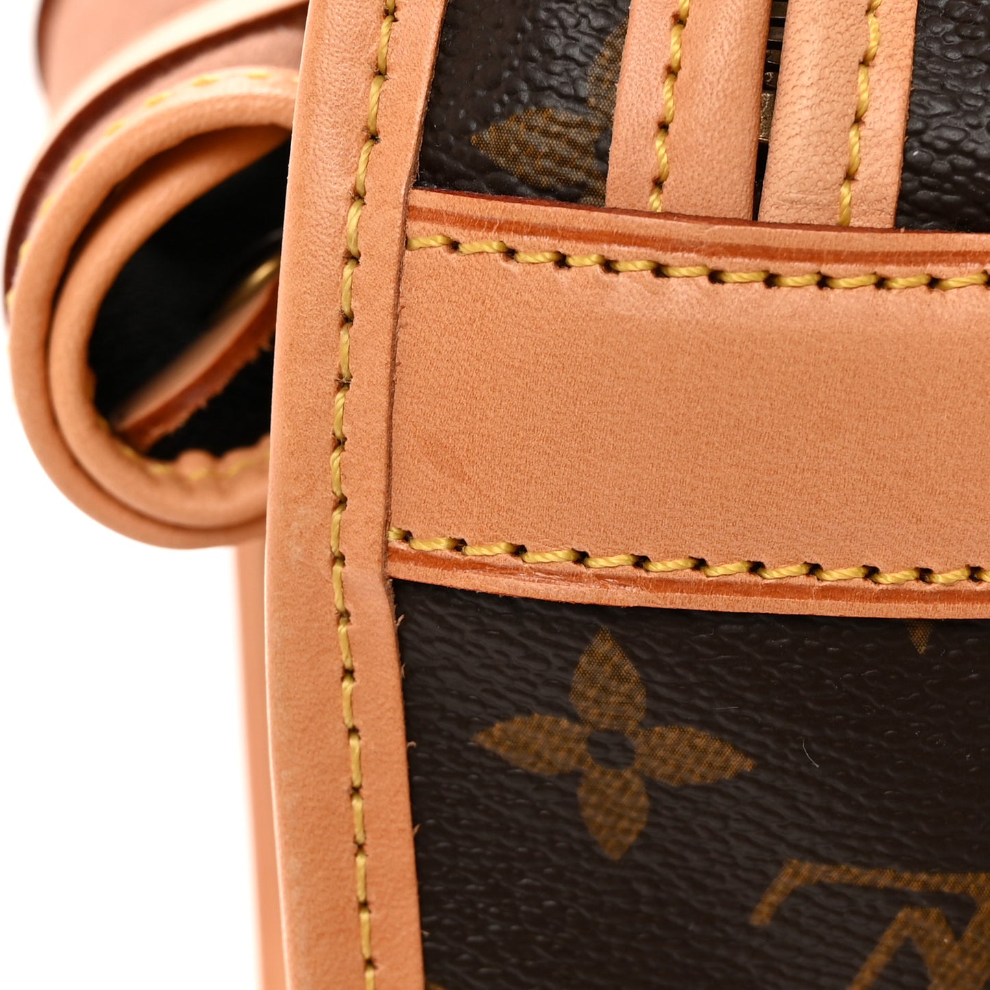 Monogram Sac Chien 40 Pet Carrier