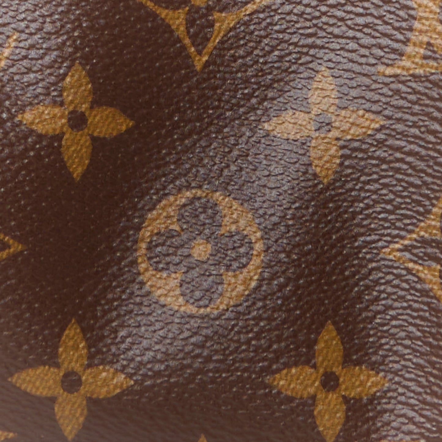 Monogram Nano Speedy