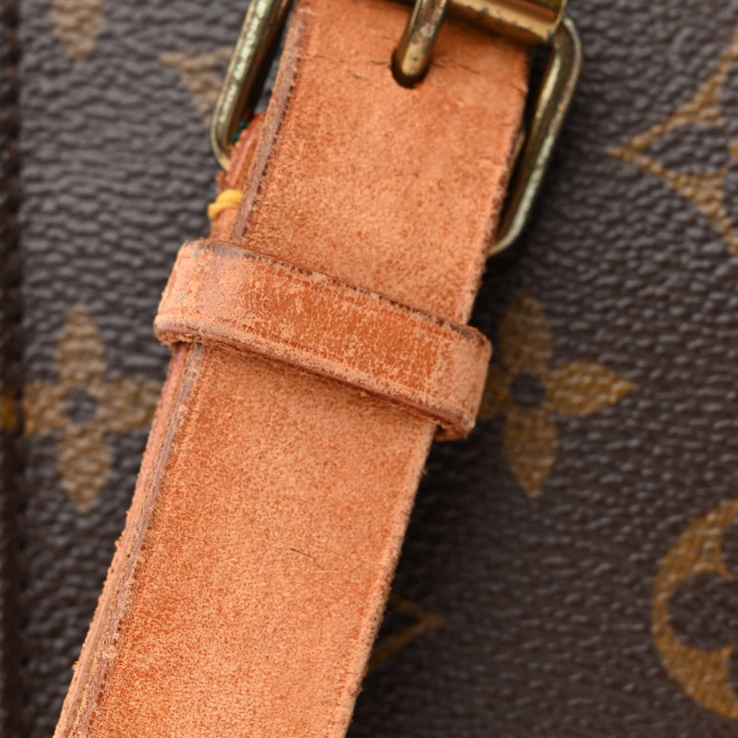 Monogram Cartouchiere 22