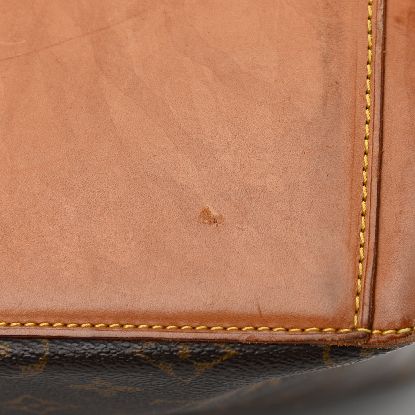 Monogram Cabas Mezzo