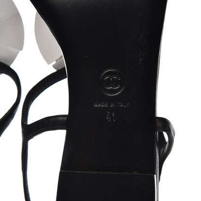Chanel Lambskin Camellia Thong Sandals 41 Black White 7 of 10