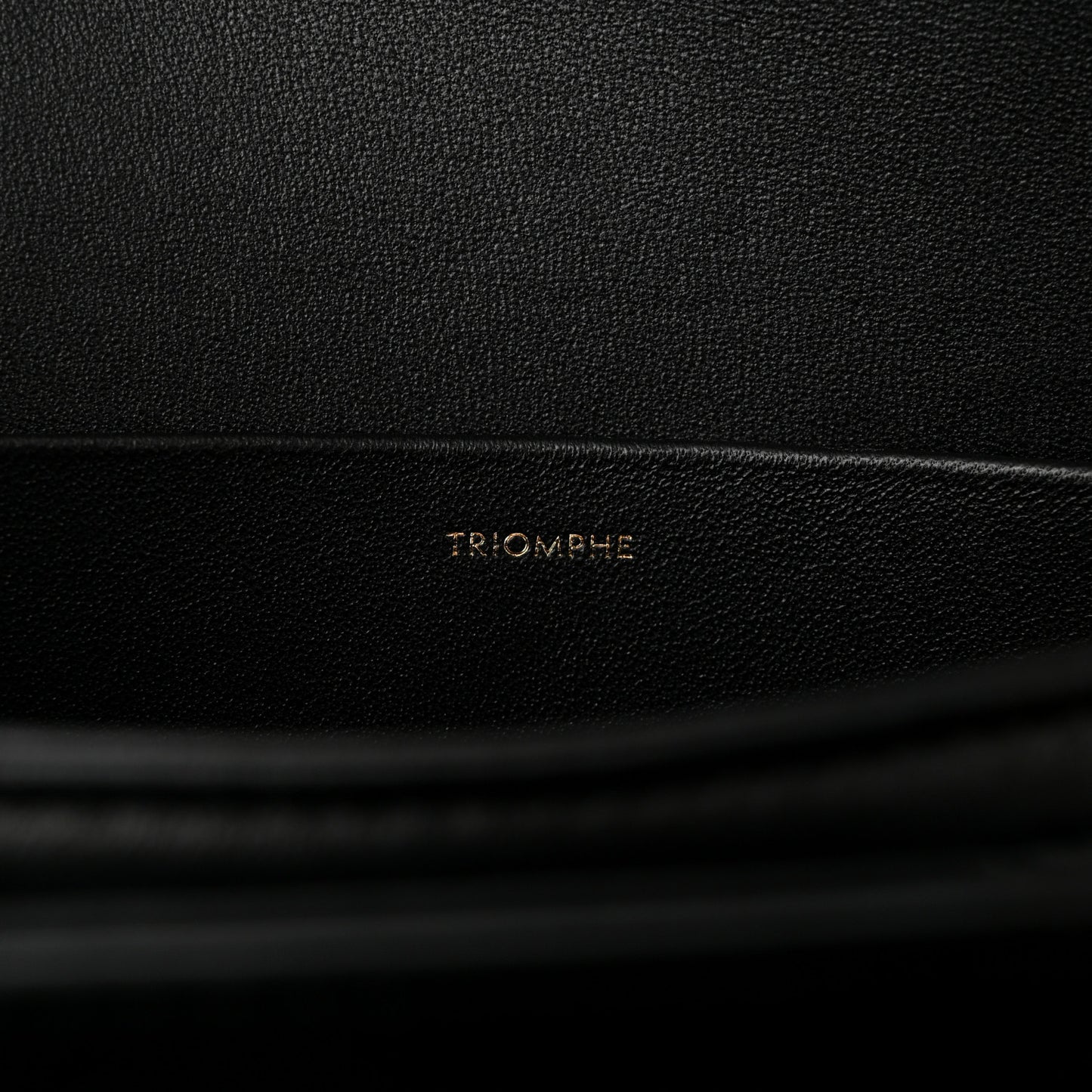 Shiny Calfskin Medium Triomphe Black