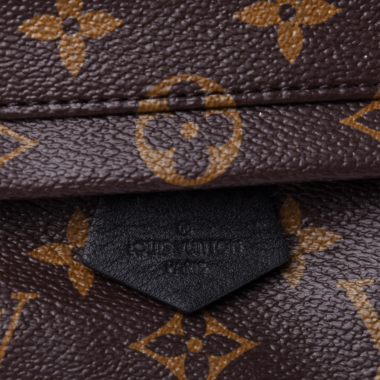 Monogram Palm Springs Backpack Mini