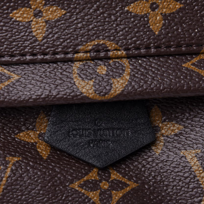 Louis Vuitton Monogram Palm Springs Backpack Mini 4 of 4
