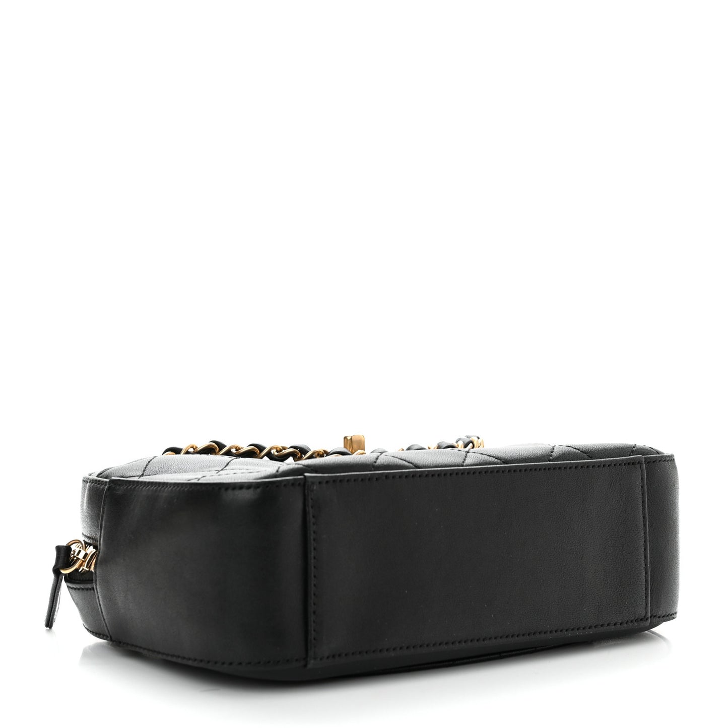 Goatskin Quilted Chanel 19 Camera Case Black