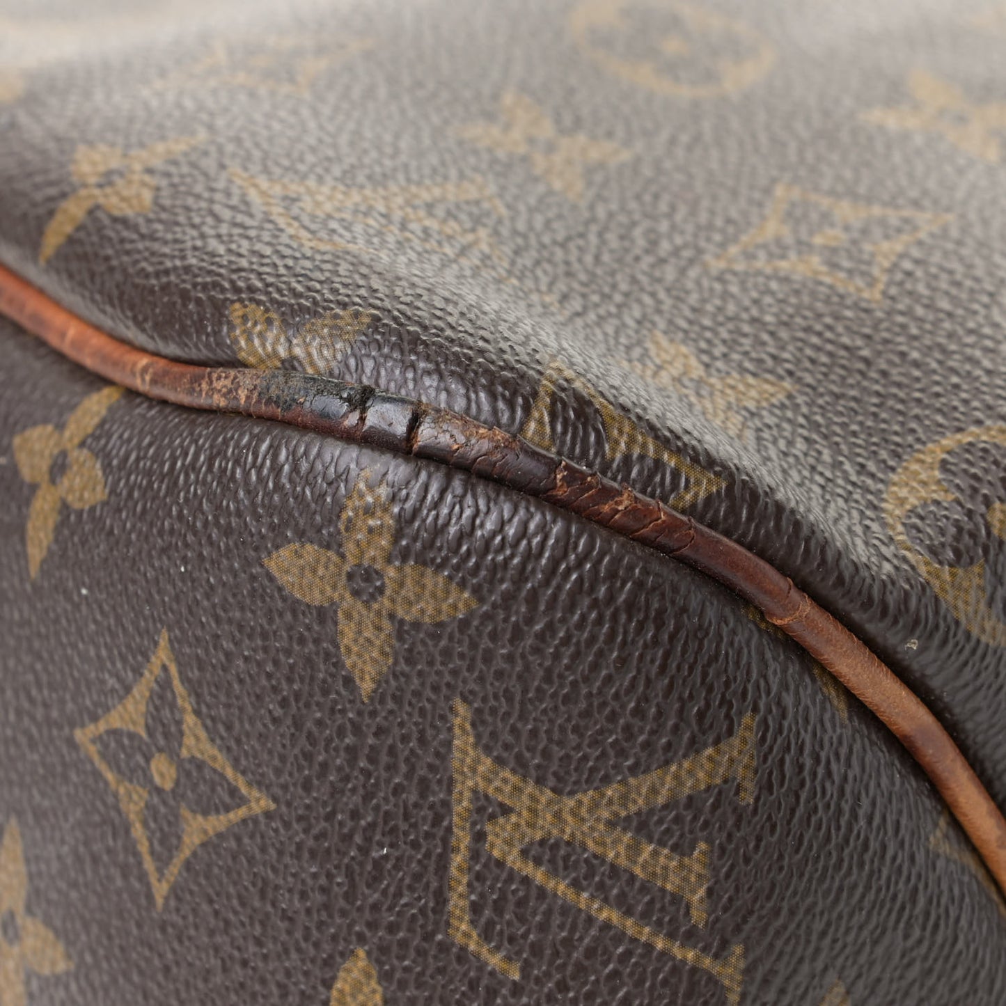 Monogram Delightful MM
