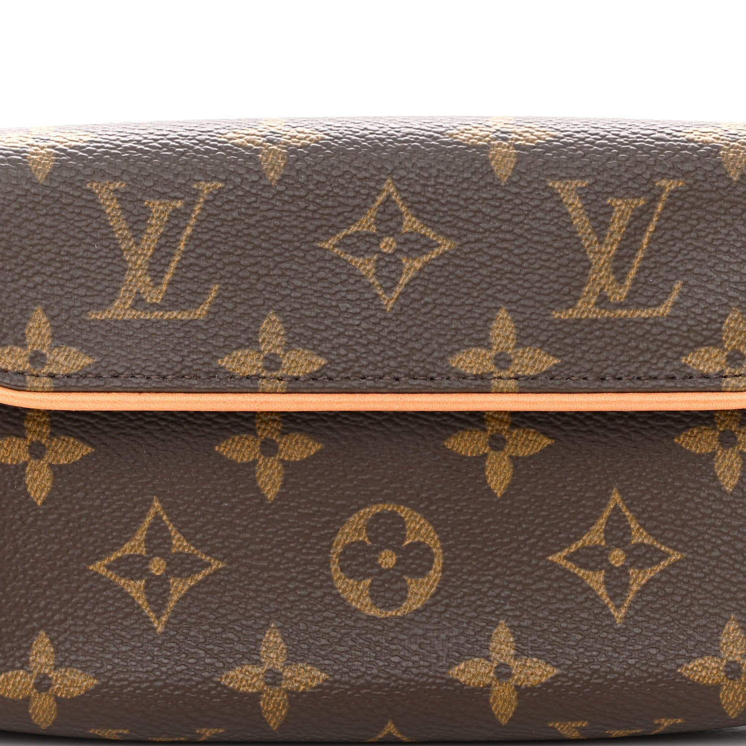 Louis Vuitton Monogram Pochette Florentine S 8 of 10