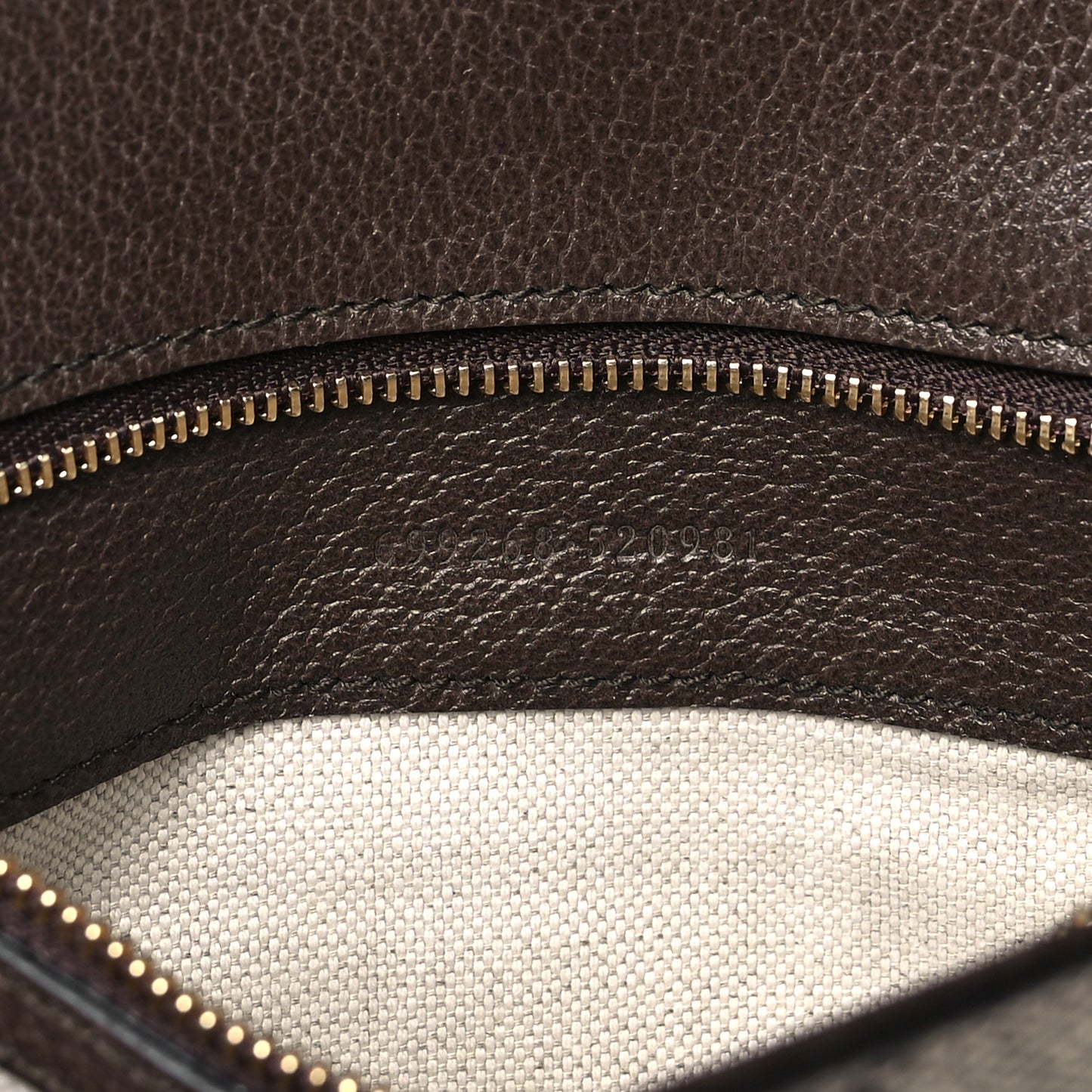 GG Supreme Monogram Textured Dollar Calfskin Blondie Chain Shoulder Flap Bag Beige Ebony New Acero