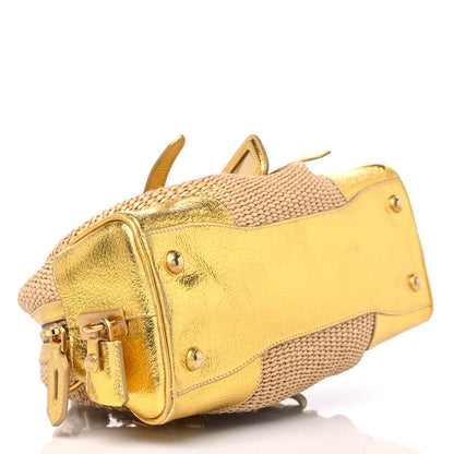 Prada Paglia Cinghiale Frame Tote Naturale Oro 4 of 13