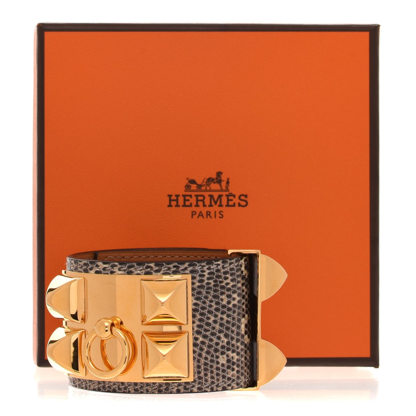 Lizard Collier De Chien CDC Bracelet S Ombre