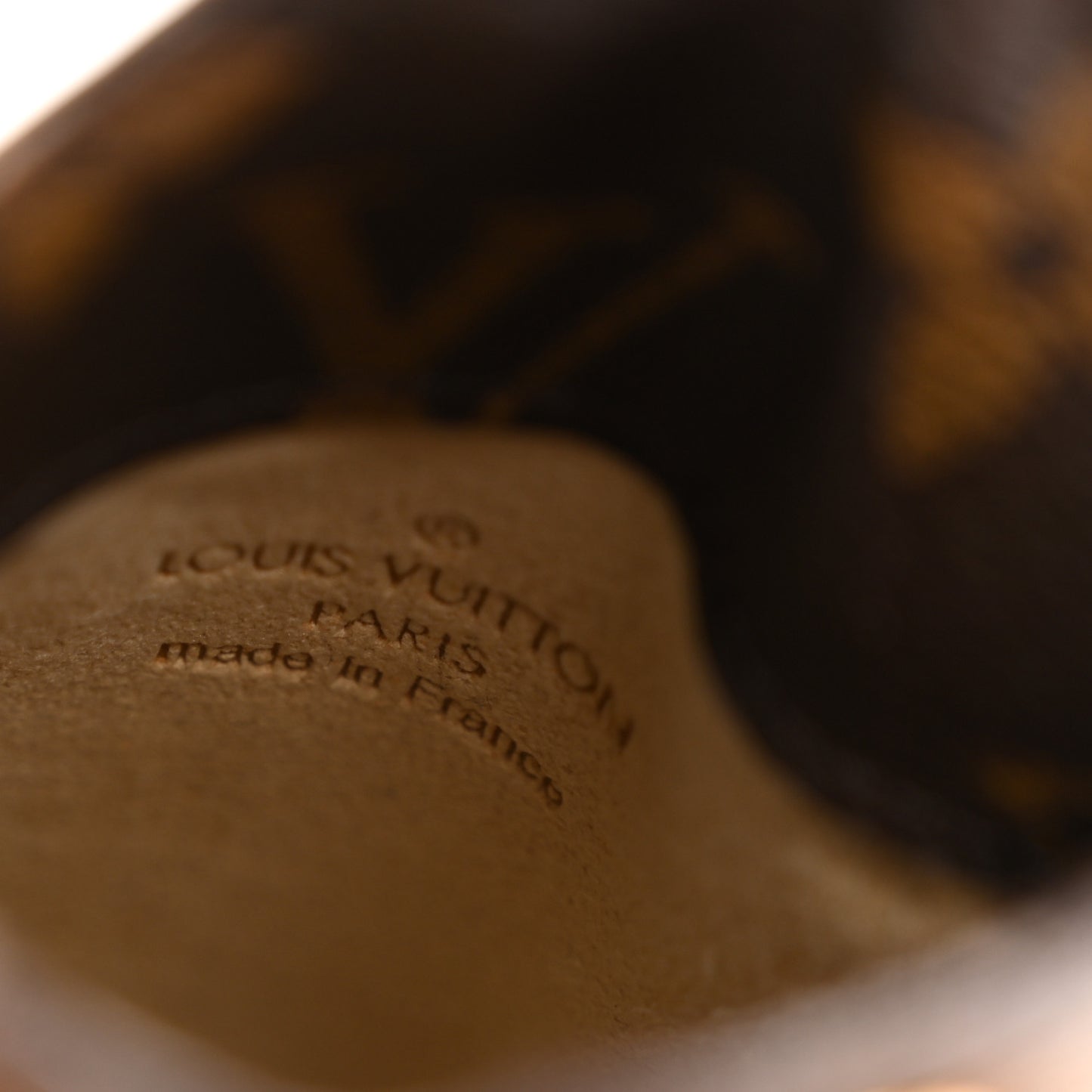 Monogram Sunglasses Case PM