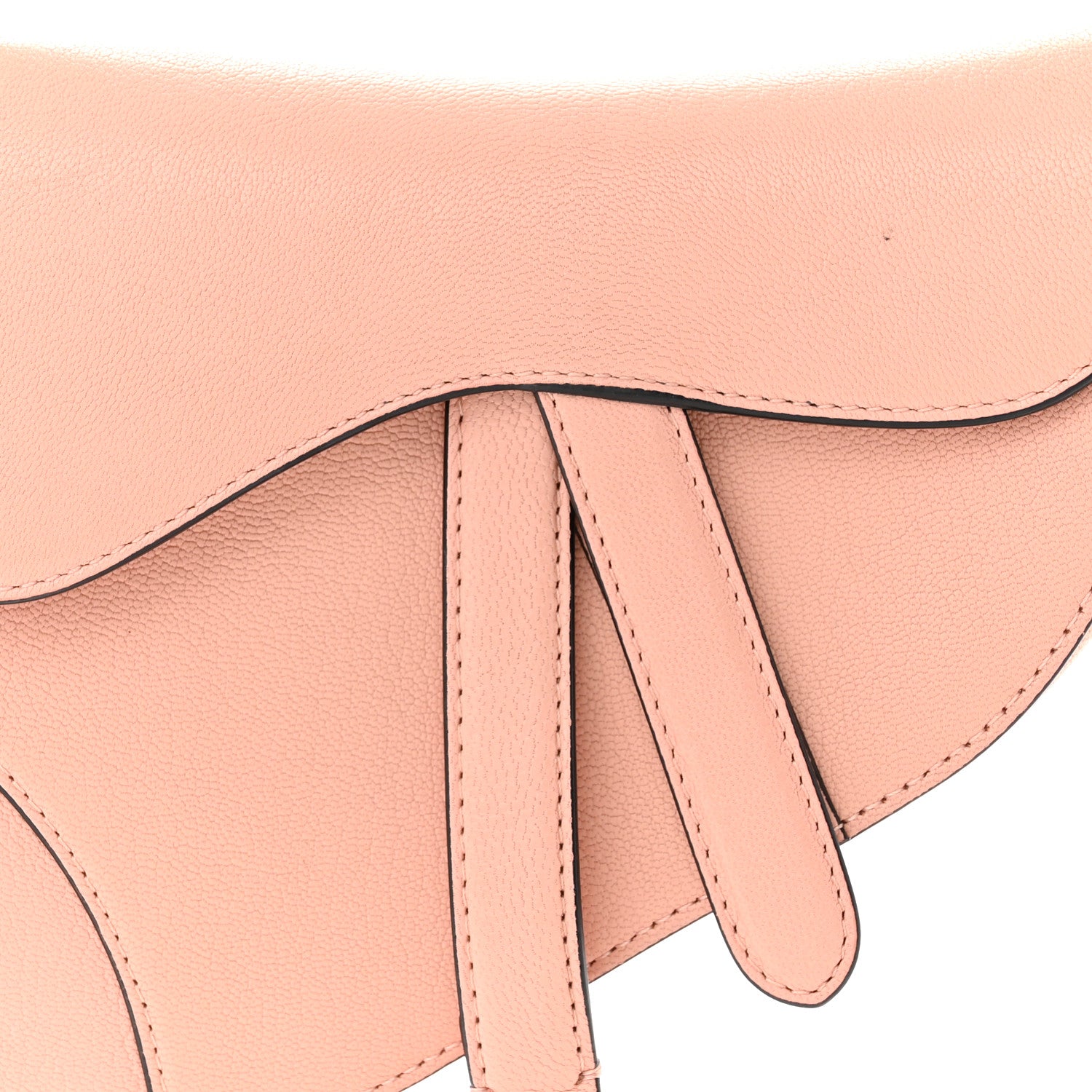 Christian Dior Goatskin Mini Saddle Bag Rose Des Vent 8 of 12