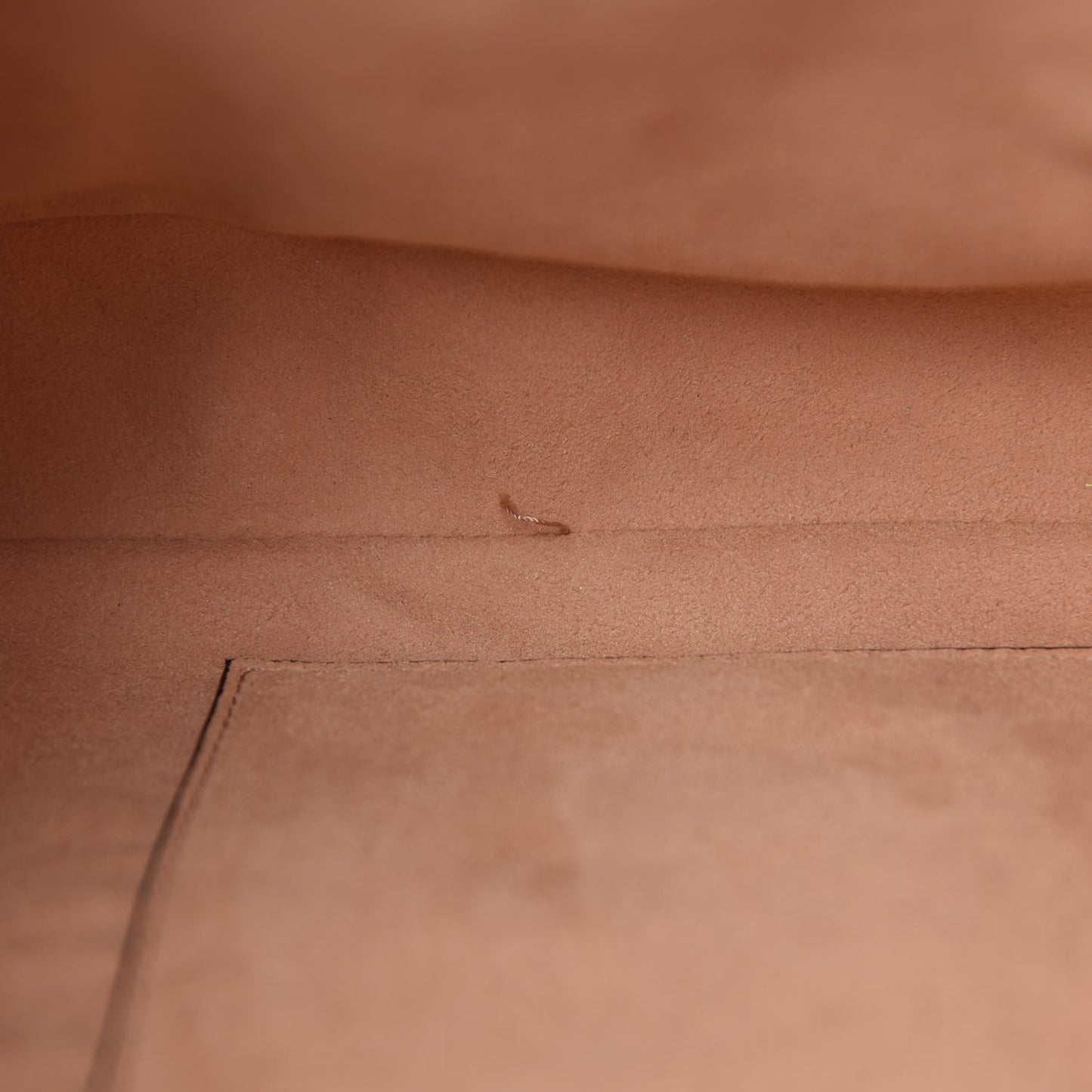 Calfskin Web Stripe Small Dionysus Hobo Black
