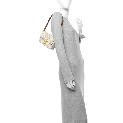 Celine Canvas Calfskin Triomphe Shoulder Bag White 2 of 10