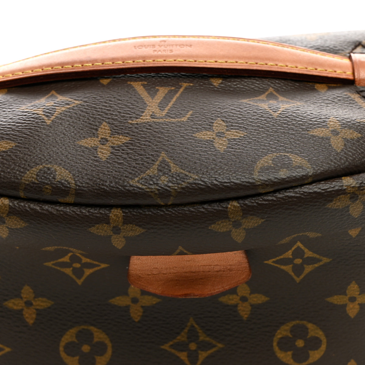 Monogram Bumbag