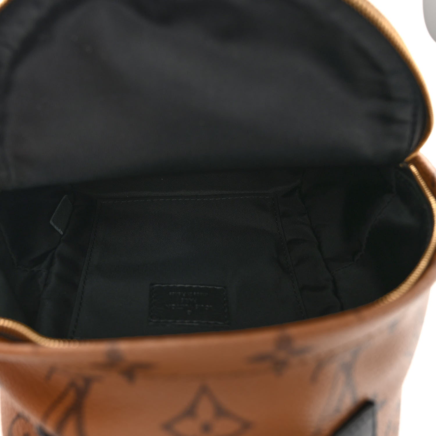 Louis Vuitton Reverse Monogram Palm Springs Backpack Mini 5 of 10
