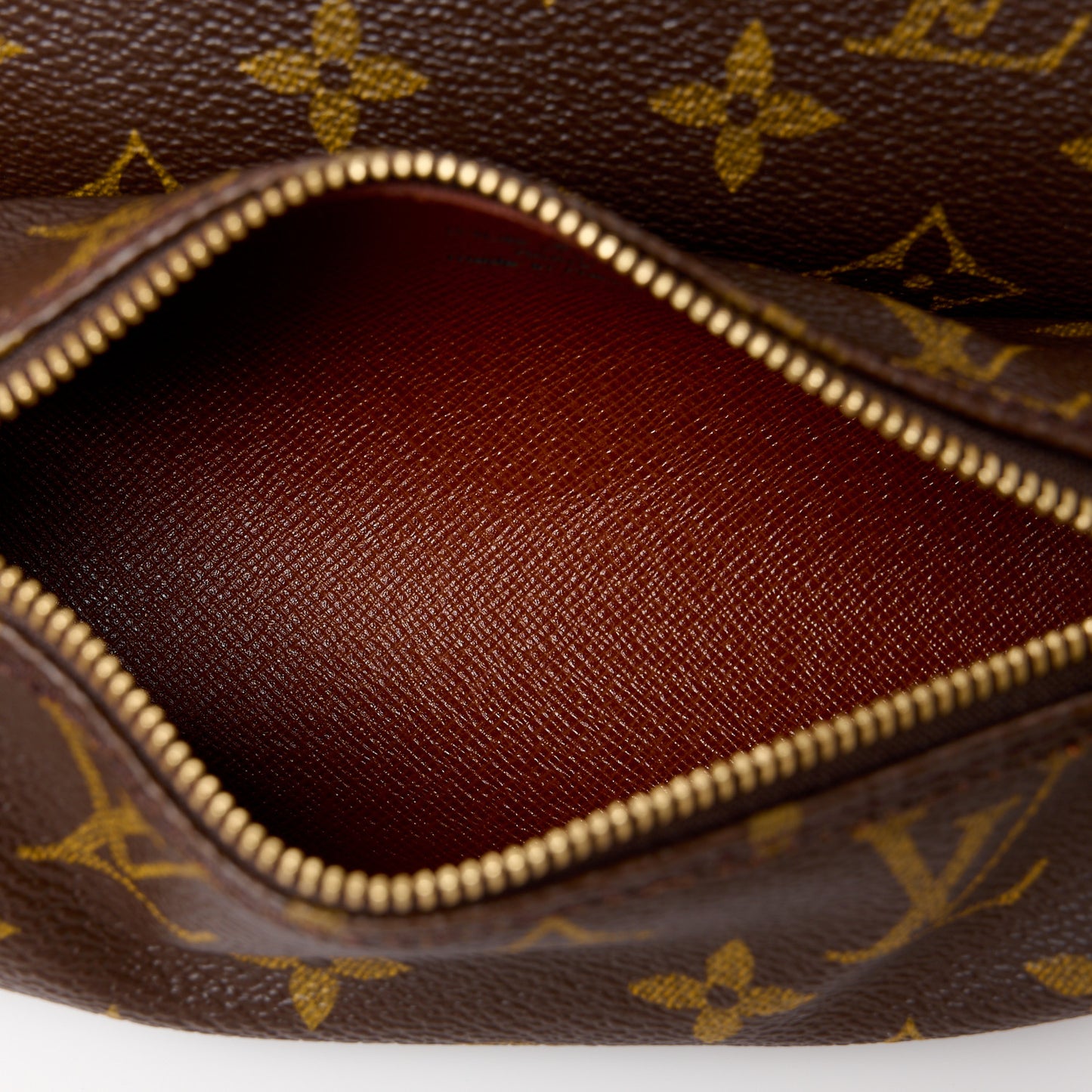 Monogram Papillon 30 with Companion