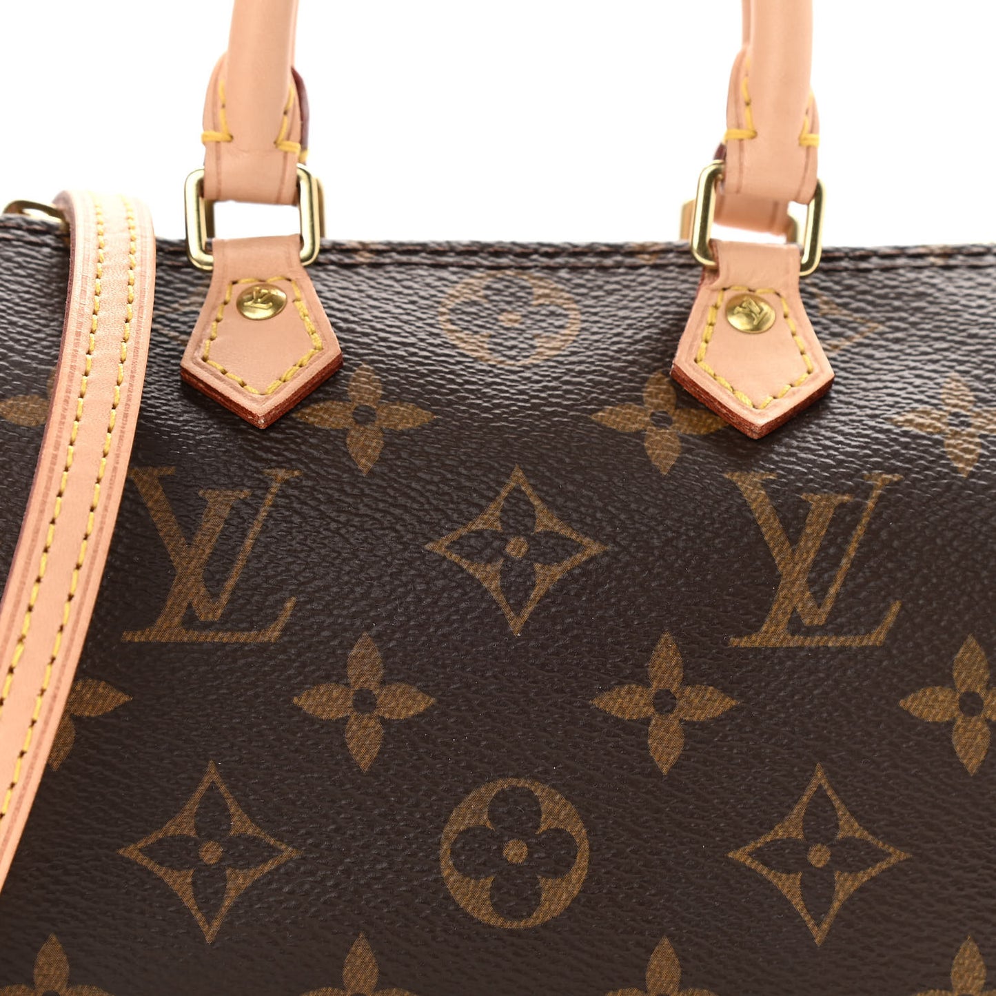 Monogram Nano Speedy