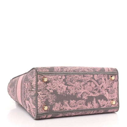 Christian Dior Canvas Toile De Jouy Reverse Embroidered Medium Lady D-Lite Gray Pink 4 of 10