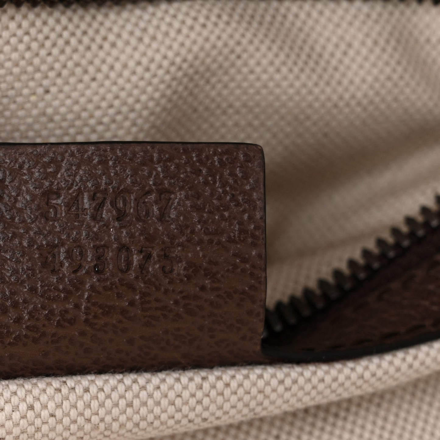 GG Supreme Monogram Medium Ophidia Day Backpack Brown