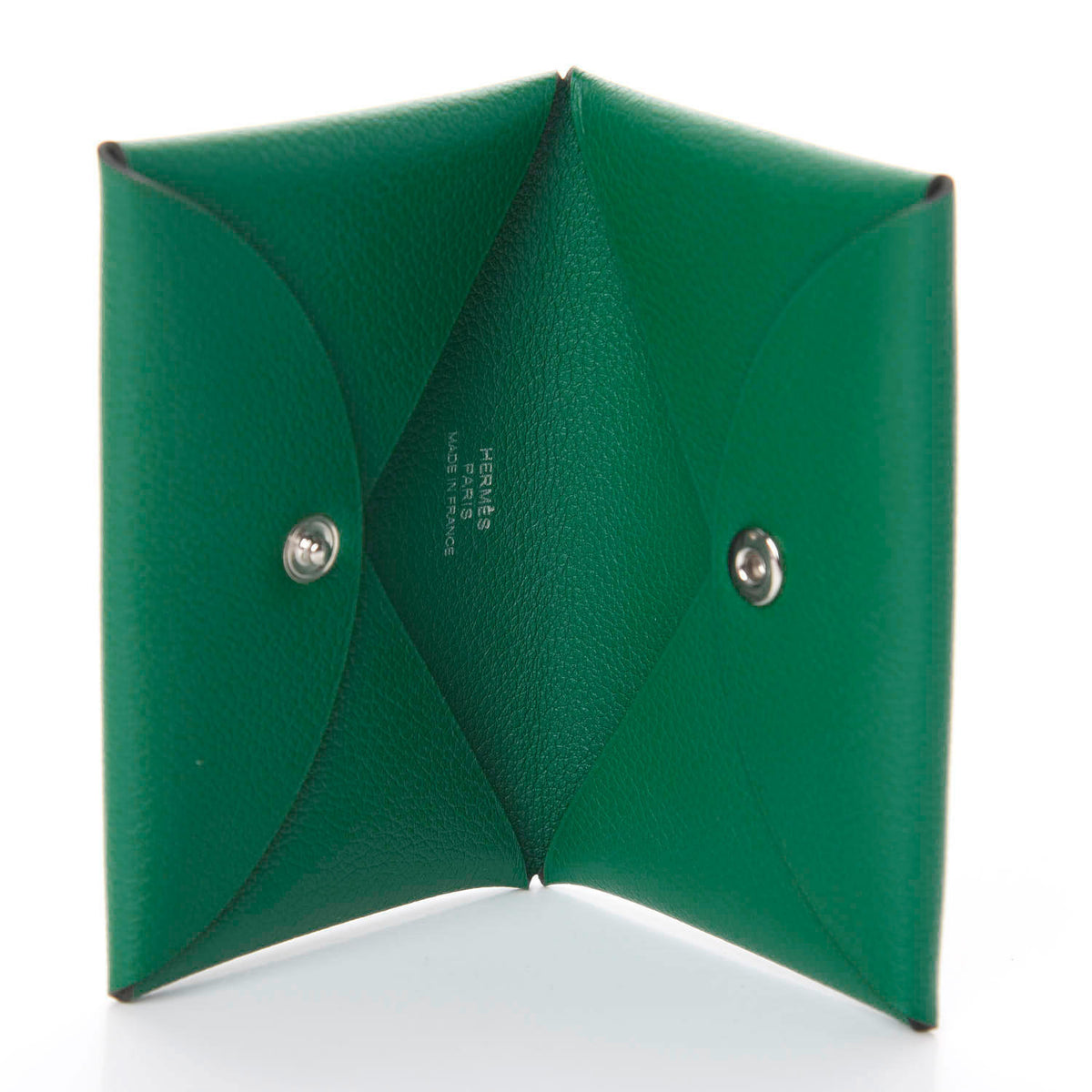 Evercolor Calvi Card Case Vert Vertigo