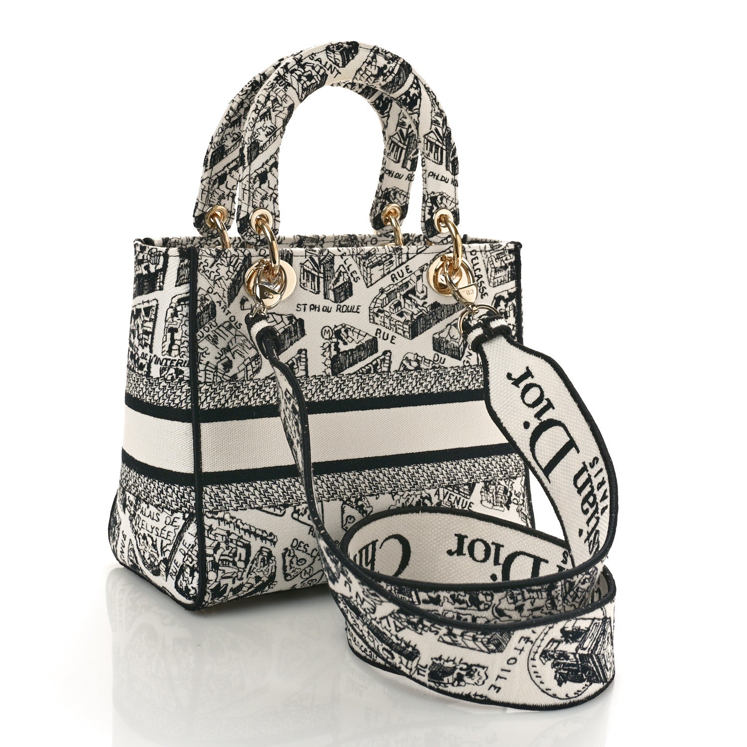 Christian Dior Canvas Embroidered Plan de Paris Medium Lady D-Lite White Black 3 of 8