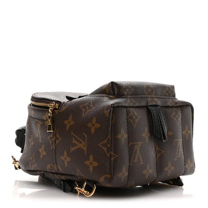 Louis Vuitton Monogram Palm Springs Backpack Mini 3 of 10