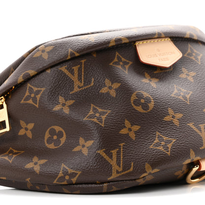 Louis Vuitton Monogram Bumbag 7 of 9