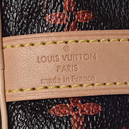 Louis Vuitton Catogram Speedy Bandouliere 30 Marron 8 of 9