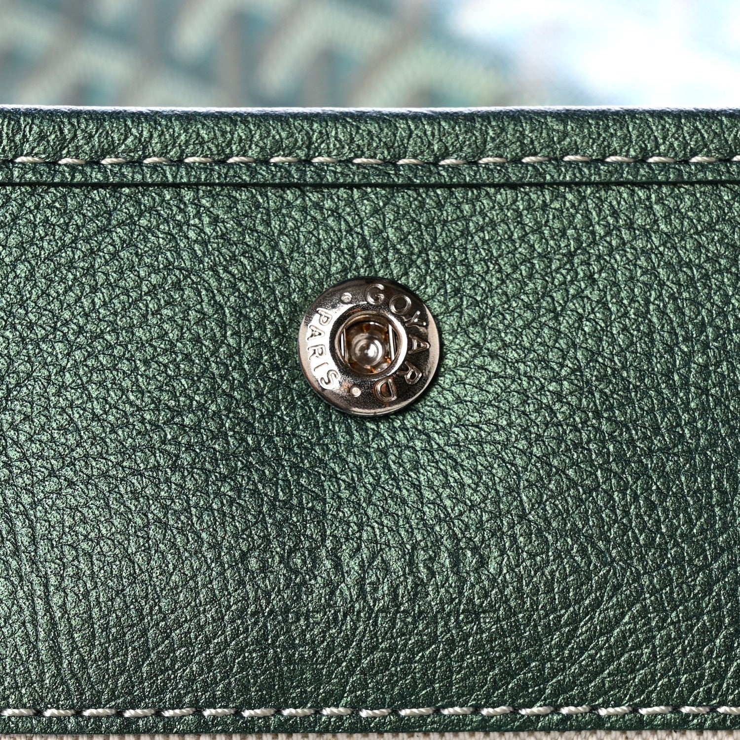 Goyard Iridescent Goyardine Boheme Hobo Pearly Green 7 of 11
